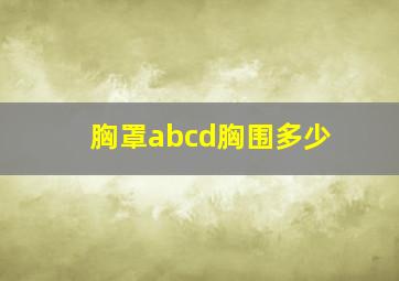 胸罩abcd胸围多少