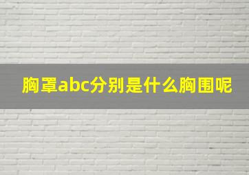 胸罩abc分别是什么胸围呢