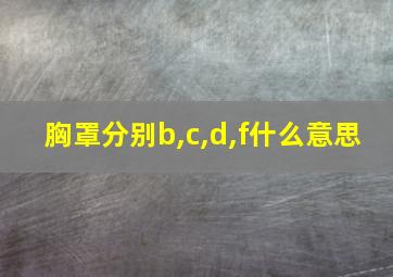 胸罩分别b,c,d,f什么意思