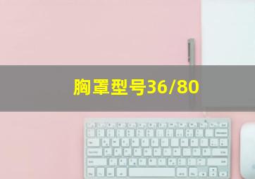 胸罩型号36/80