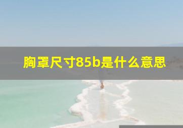 胸罩尺寸85b是什么意思