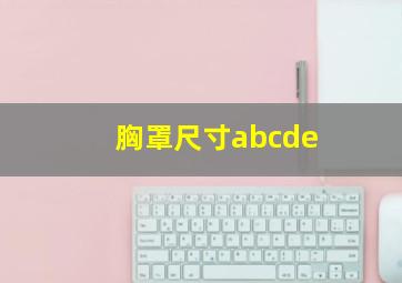 胸罩尺寸abcde