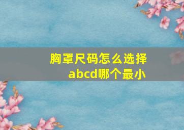 胸罩尺码怎么选择abcd哪个最小