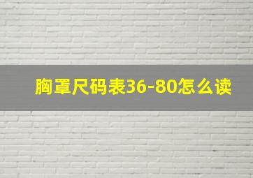 胸罩尺码表36-80怎么读