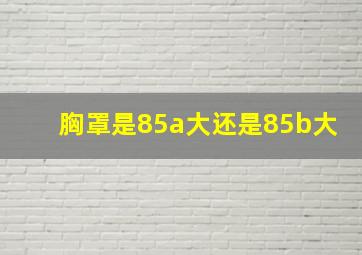 胸罩是85a大还是85b大