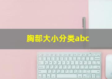 胸部大小分类abc