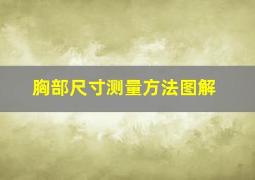 胸部尺寸测量方法图解