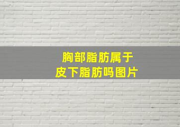 胸部脂肪属于皮下脂肪吗图片