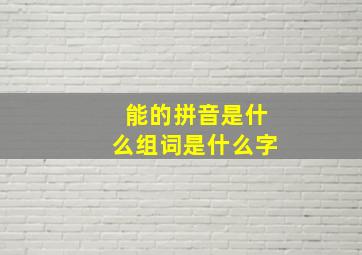 能的拼音是什么组词是什么字