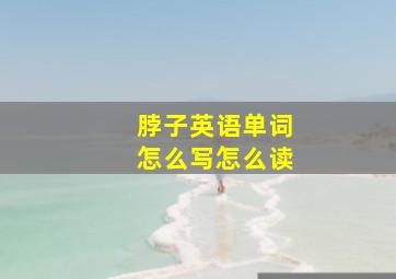 脖子英语单词怎么写怎么读