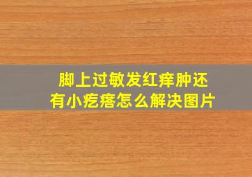 脚上过敏发红痒肿还有小疙瘩怎么解决图片