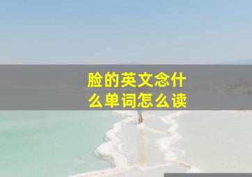 脸的英文念什么单词怎么读