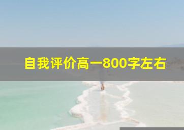 自我评价高一800字左右