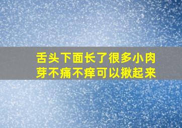 舌头下面长了很多小肉芽不痛不痒可以揪起来