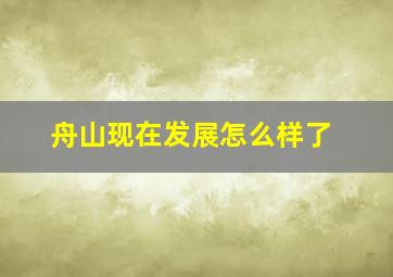 舟山现在发展怎么样了