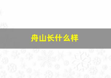 舟山长什么样