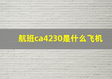 航班ca4230是什么飞机