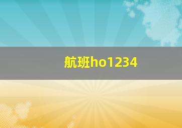 航班ho1234