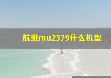 航班mu2379什么机型