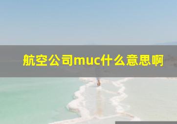 航空公司muc什么意思啊