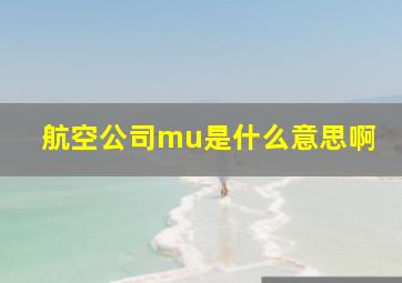 航空公司mu是什么意思啊