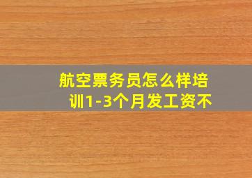 航空票务员怎么样培训1-3个月发工资不