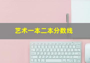 艺术一本二本分数线