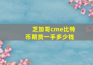 芝加哥cme比特币期货一手多少钱