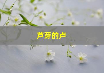 芦芽的卢