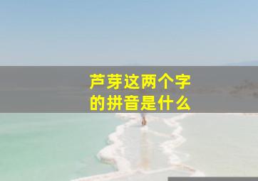 芦芽这两个字的拼音是什么