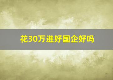 花30万进好国企好吗