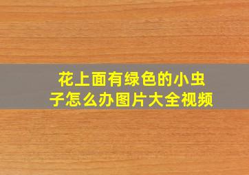 花上面有绿色的小虫子怎么办图片大全视频