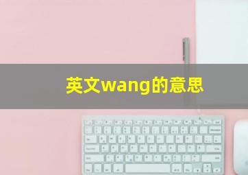 英文wang的意思