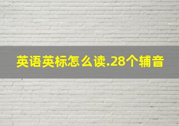 英语英标怎么读.28个辅音