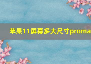 苹果11屏幕多大尺寸promax