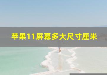 苹果11屏幕多大尺寸厘米