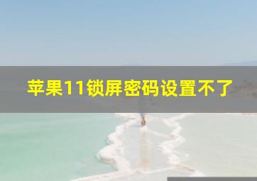 苹果11锁屏密码设置不了