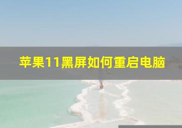 苹果11黑屏如何重启电脑