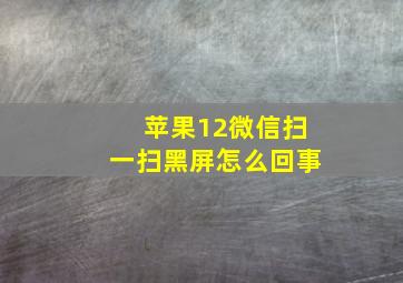 苹果12微信扫一扫黑屏怎么回事