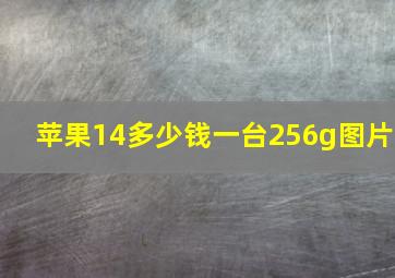 苹果14多少钱一台256g图片