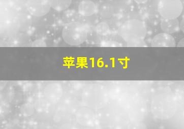 苹果16.1寸