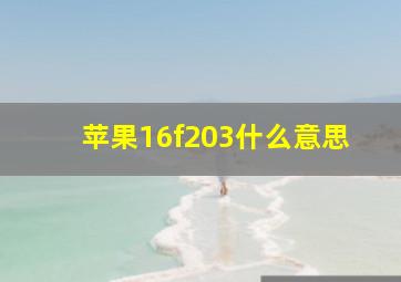 苹果16f203什么意思