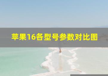 苹果16各型号参数对比图