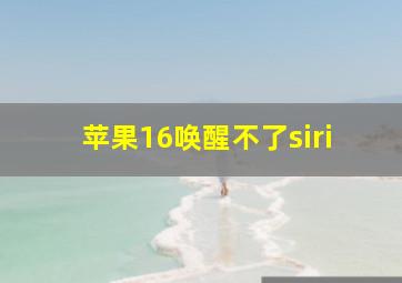 苹果16唤醒不了siri