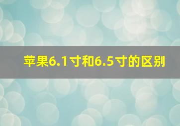 苹果6.1寸和6.5寸的区别