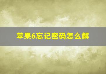 苹果6忘记密码怎么解