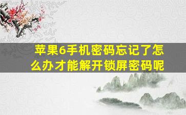 苹果6手机密码忘记了怎么办才能解开锁屏密码呢