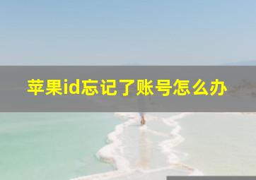 苹果id忘记了账号怎么办