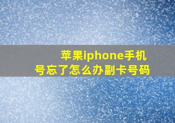 苹果iphone手机号忘了怎么办副卡号码