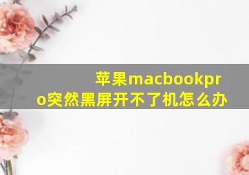 苹果macbookpro突然黑屏开不了机怎么办